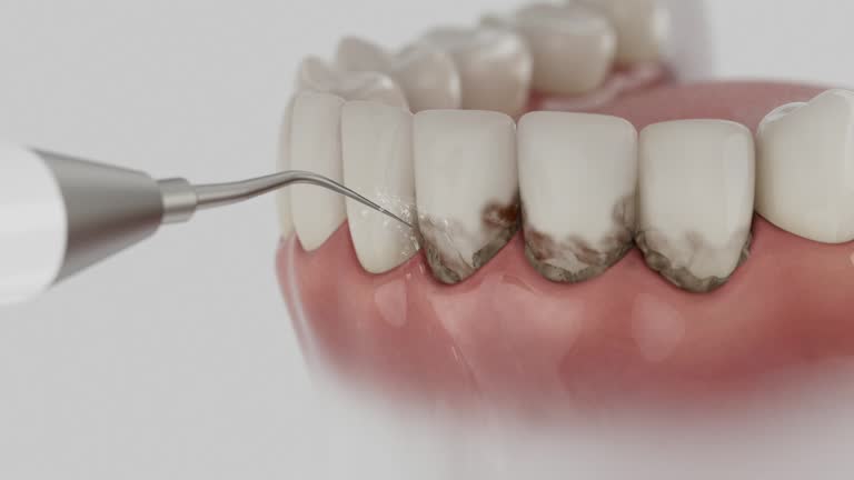 Reliable Dental contractor in St. Rose, LA by Dentist Open Now